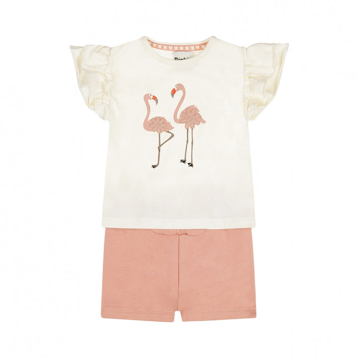 Flamingo sett