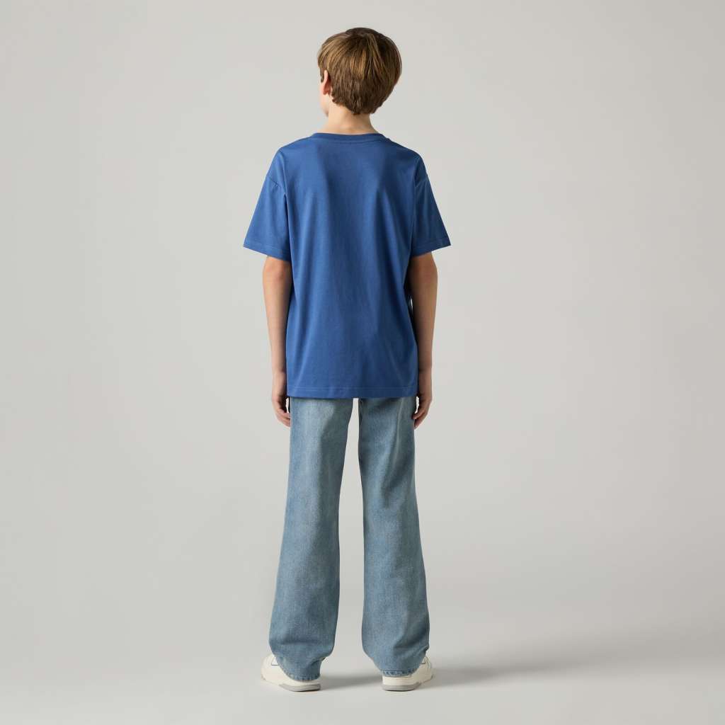 Jeans Regular fit 505