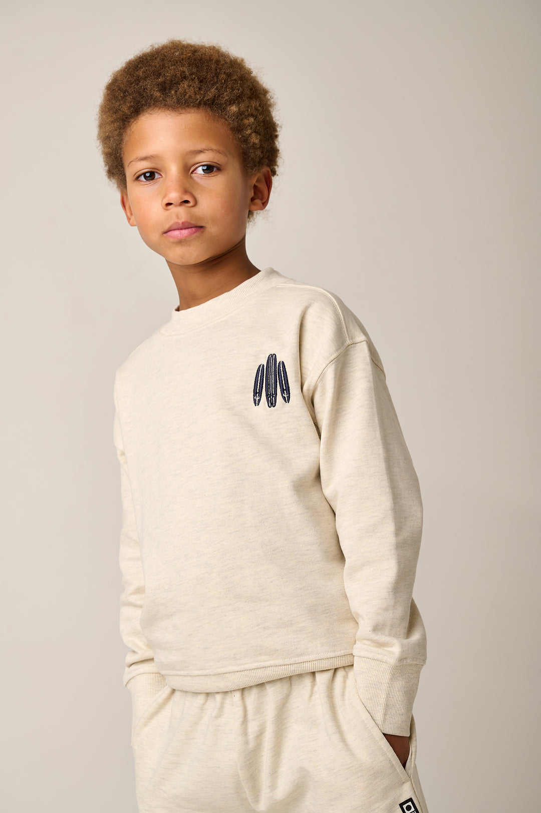 Sweater Surfboards Seashore