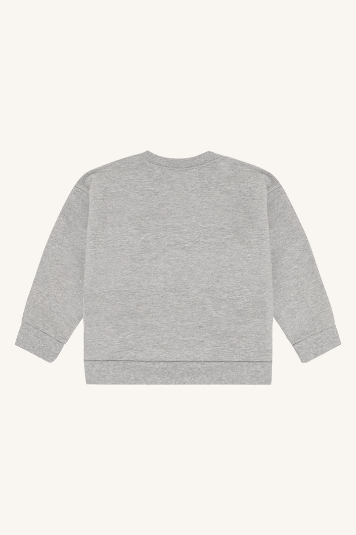 HCSejer Skating Bear - Grey