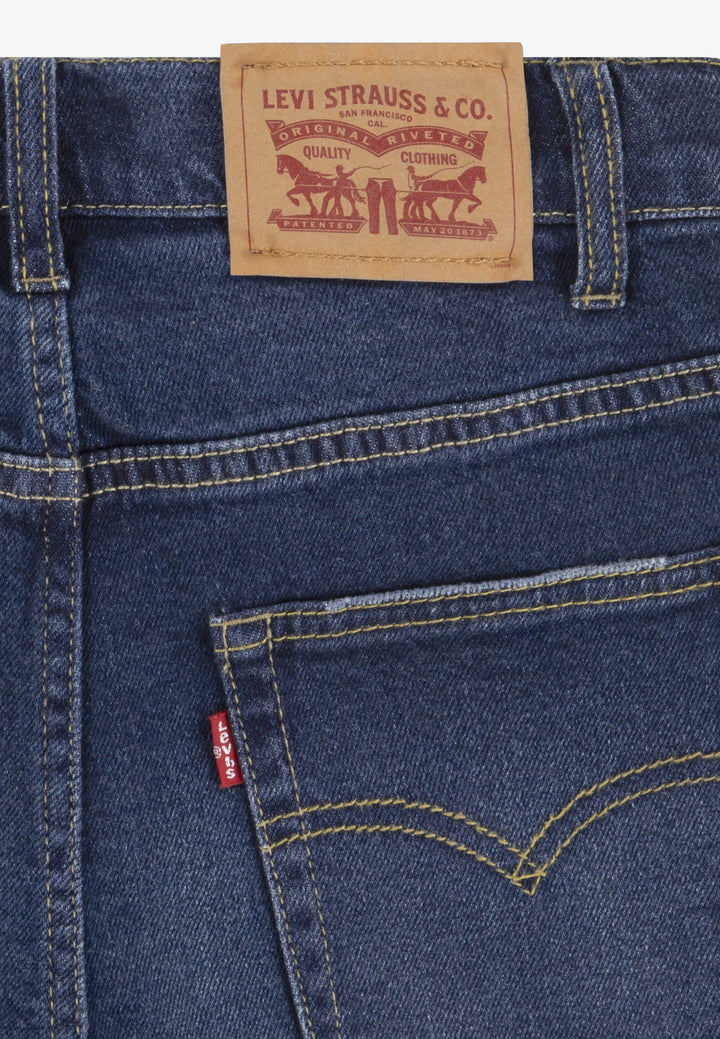 Jeans 555 Relaxed straight  Sierra pass